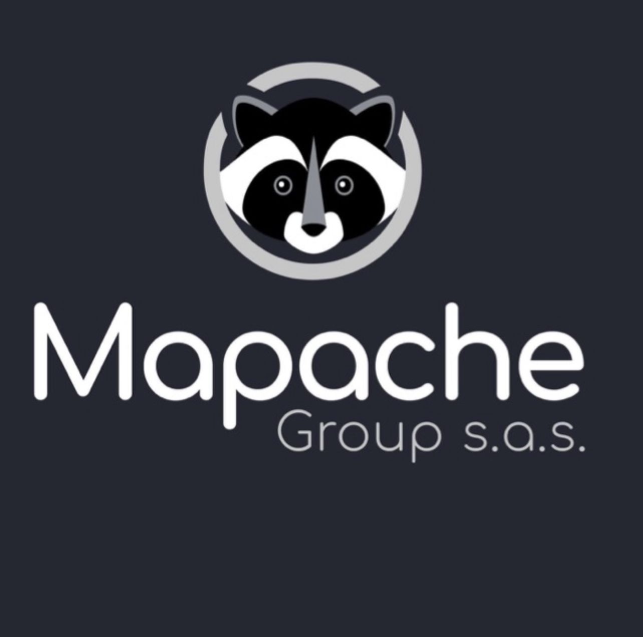 Mapache Group sas